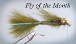 Fly of the Month]